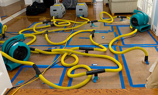 Professional Sewage Cleanup technician working in Stephenville, TX
